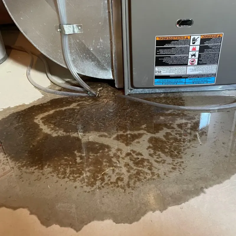 Pipe Burst and Leak Restoration in Farmington, ME